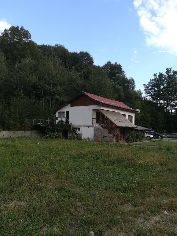 Vila Margareta Curtea de Argeş Exterior foto